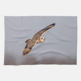 Kort-örad uggla vid Shawangunk Grasslands Kökshandduk