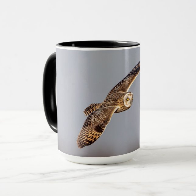 Kort-örad uggla vid Shawangunk Grasslands Mugg (Framsida vänster)