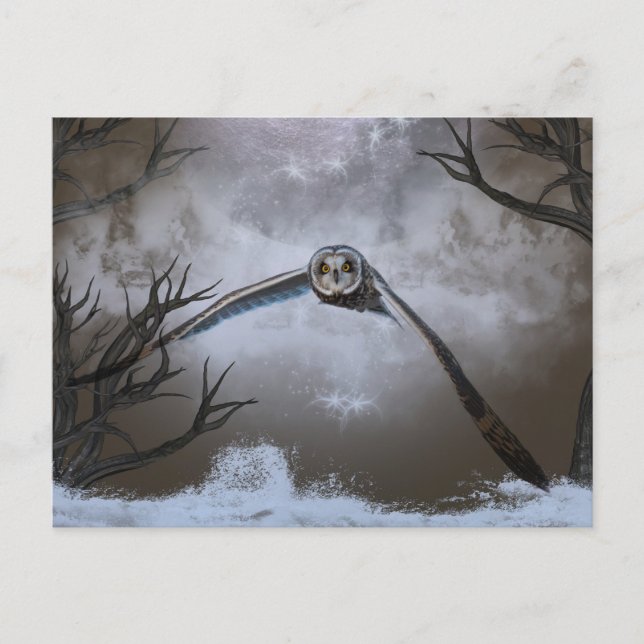 Kort-örad uggla vid Shawangunk Grasslands Vykort (Framsida)