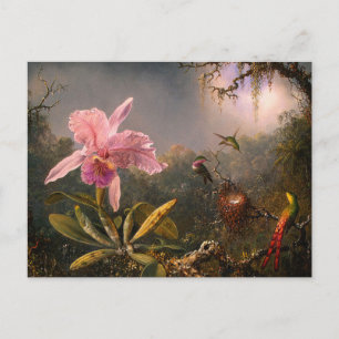 Kort: Orchid och Hummingbird Vykort