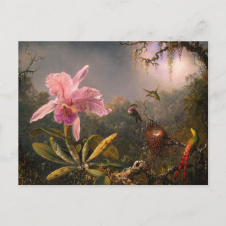 Kort: Orchid och Hummingbird Vykort