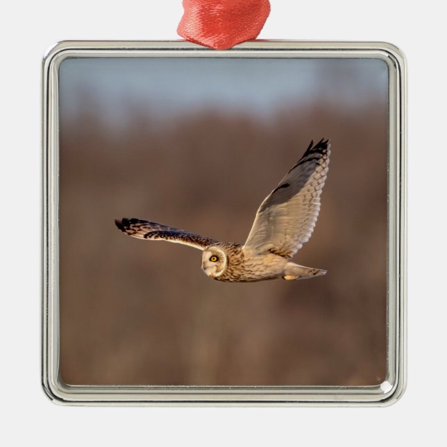 Kort-orienterad uggla under flygning julgransprydnad metall (Framsidan)