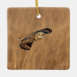 Kort-orienterad uggla under flygning på gräsmark julgransprydnad keramik