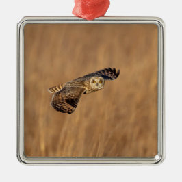 Kort-orienterad uggla under flygning på gräsmark julgransprydnad metall