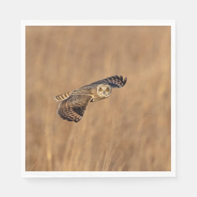 Kort-orienterad uggla under flygning på gräsmark pappersservett (Framsidan)