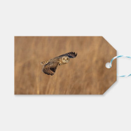 Kort-orienterad uggla under flygning på gräsmark presentetikett