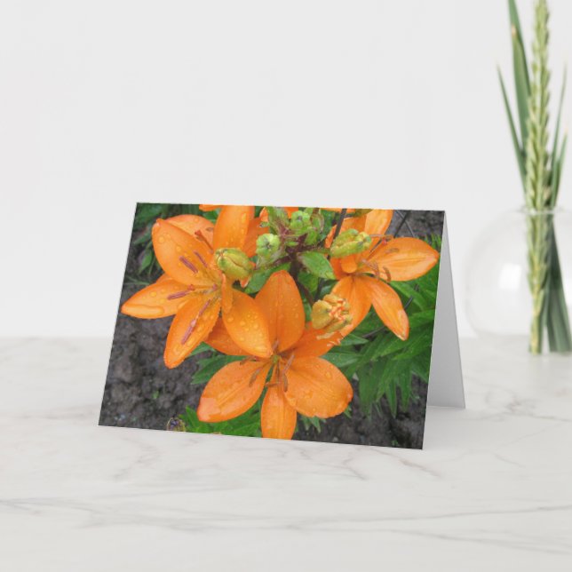Kort på Lillies Blank Note Card (Framsida)