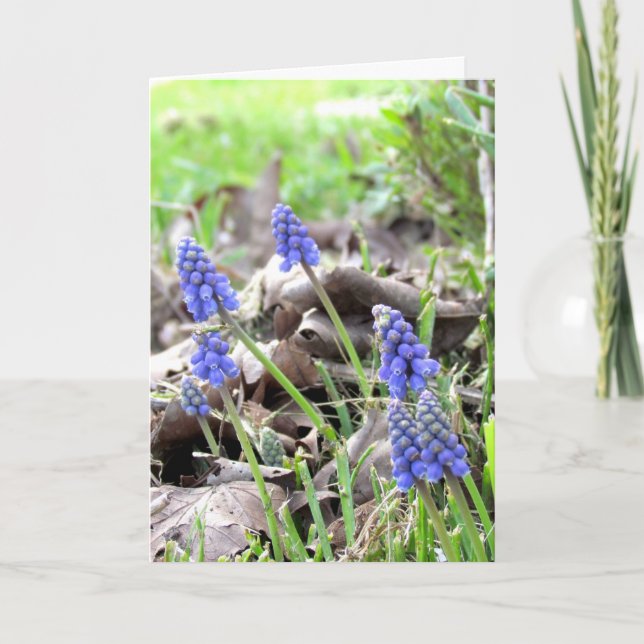 Kort - Påsk-blommor (Framsida)