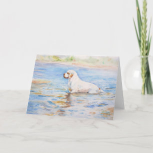 kort - reflexion - Clumber Spaniel
