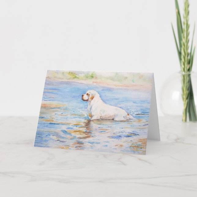 kort - reflexion - Clumber Spaniel (Framsida)
