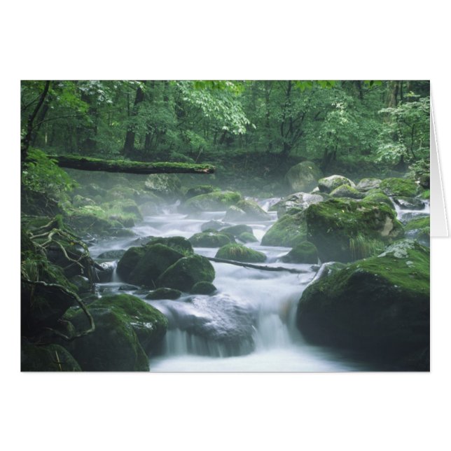 KORT - RIVER (Framsidan Horizontal)