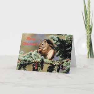 Kort/röd ekorre/jul helgkort