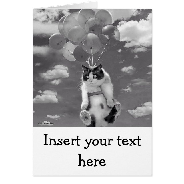 Kort: Roligt kattflyg med ballonger Hälsningskort (Framsidan)