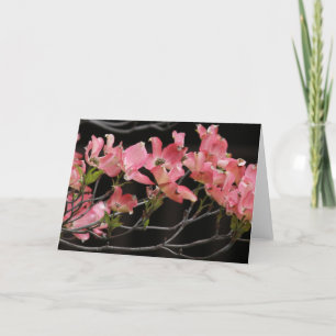 Kort, "ROSA DOGWOOD # 2" Kort
