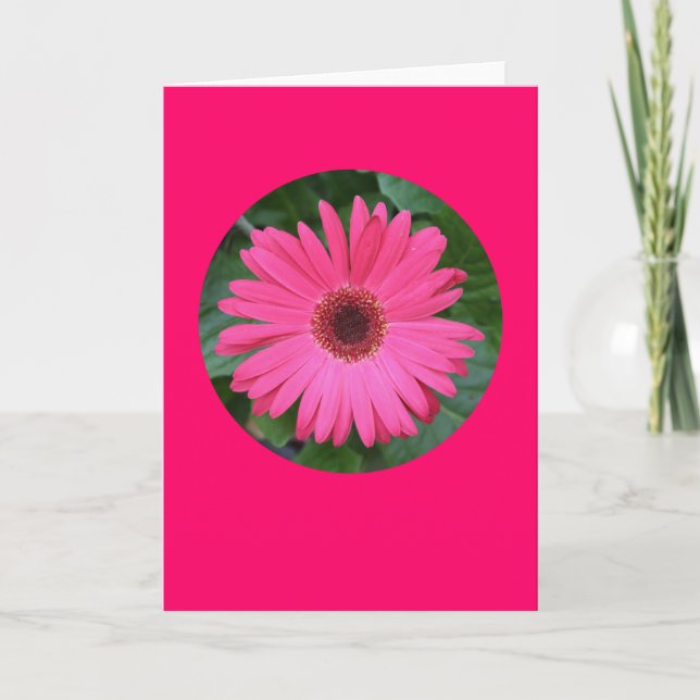 Kort "rosa Gerber daisy i en cirkla" B-1 (Framsida)