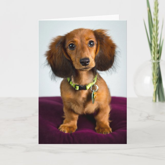 Kort Saker (Framsida)