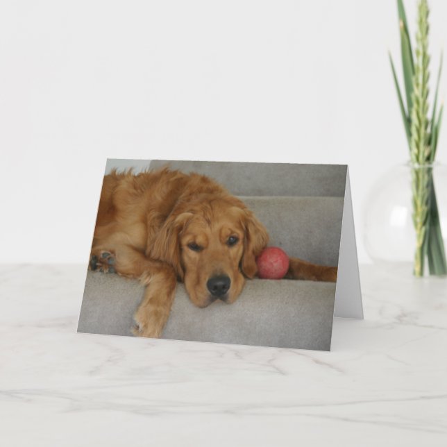 Kort saknas! (Framsida)