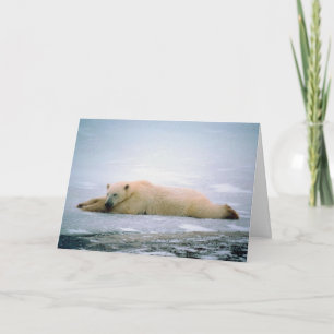 Kort saknas för polarna