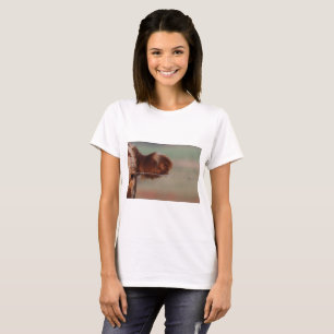 Kort sl-utslagsplats, foto för EN BRA Tee