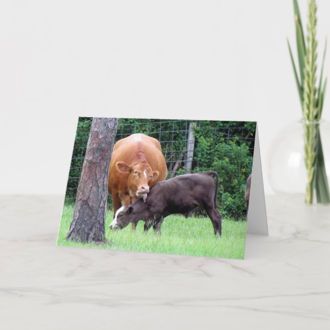 Kort Slicka Mors dag (Framsida)