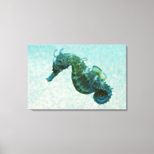 Kort-Snouted Seahorse Crimea, Ryssland Canvastryck