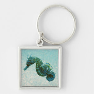 Kort-Snouted Seahorse Crimea, Ryssland Fyrkantig Silverfärgad Nyckelring