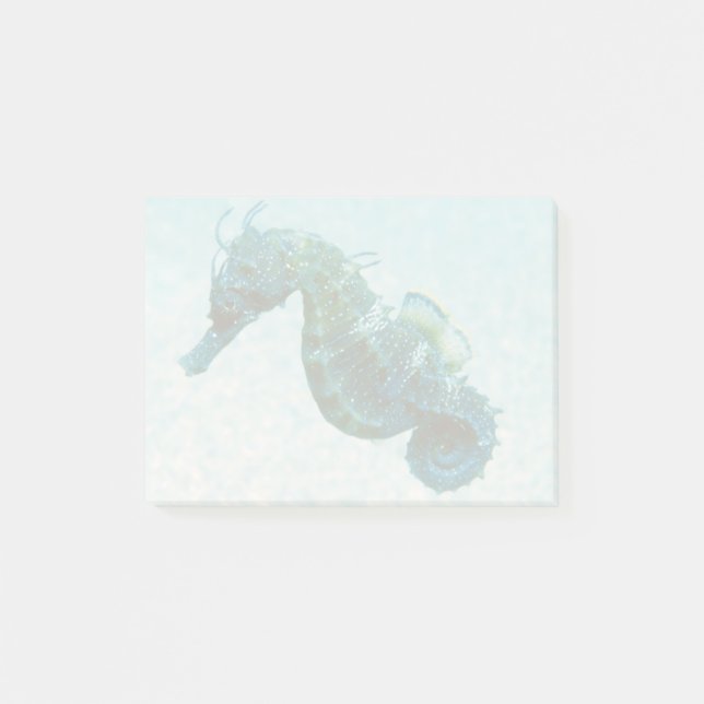 Kort-Snouted Seahorse| Krim, Ryssland Post-it Block (Framsida)