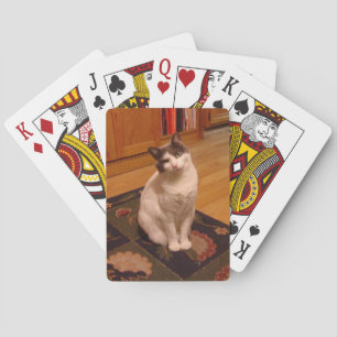 kort spel kort