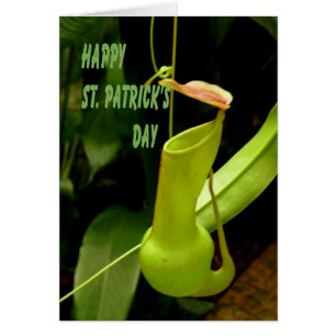 Kort St. Patrick's Day med Pipe Plant Grönt