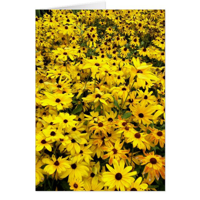 Kort - Svartögda Susans (Framsidan)