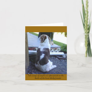 Kort - Sympathy Card - Pet
