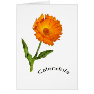 Kort - tomt - Calendula med etikett