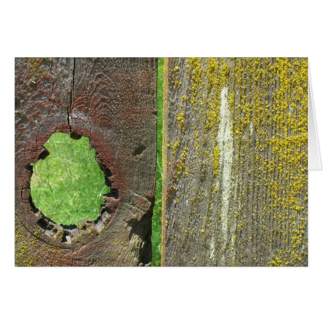 Kort - tomt - Knothole in Fence (Framsidan Horizontal)