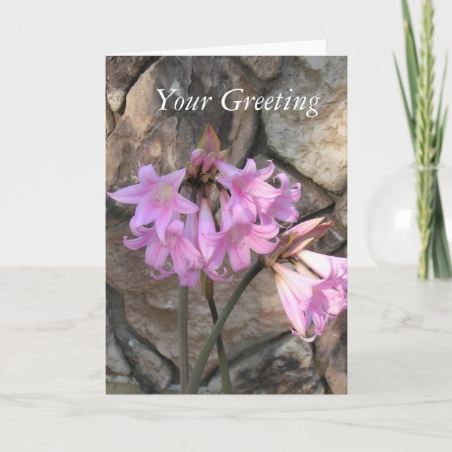 Kort - tomt - Pink Ladies (Framsida)