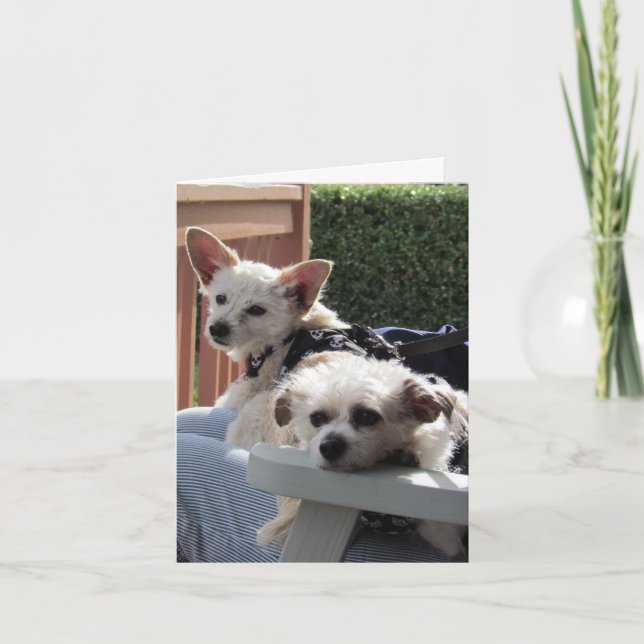 Kort - två paket (Framsida)