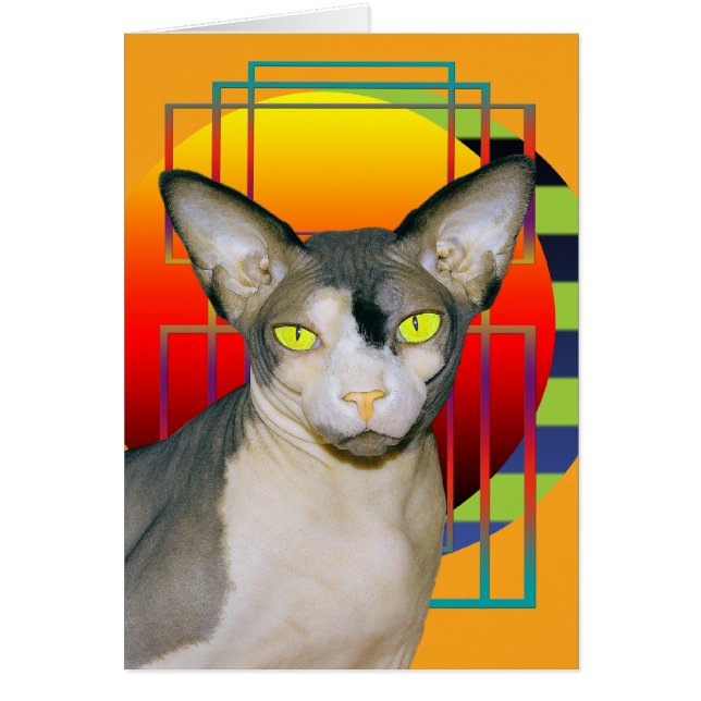 Kort | Vamp Sphynx Katt (Orange) (Framsidan)