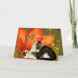 Kort Vit Katt Kittel Blommor "Tänker på dig"