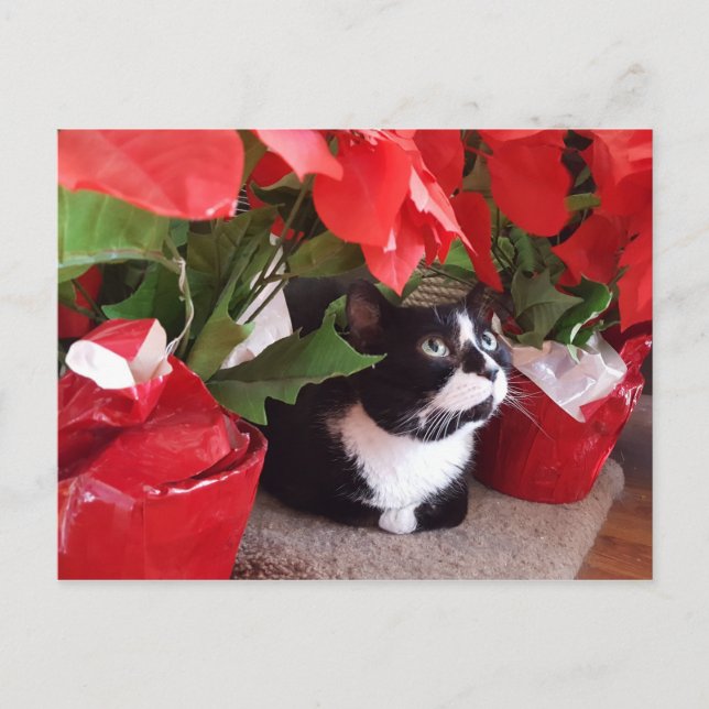 Kort vykort för julklapp (Framsida)