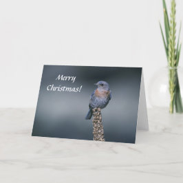 Kort/Western blåfågel/God jul! Helgkort