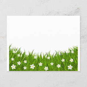 Kortblomma och gräs vykort