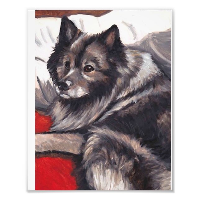 Korteshond Hund Art-utskrift Fototryck (Framsidan)