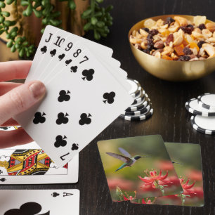 Kortet "Aviary Luxury" Casinokort