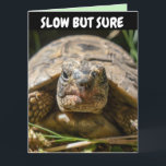 Kortet BELASTAD BIRTHDAY FUNNY TURTLE Greeting Car Kort<br><div class="desc">LÅG MEN SÄKER - FUNNY OCH CUTE BELAGADE BIRTHDAY-KORT SOM DE KOMMER ATT GE KÄRLEK.</div>
