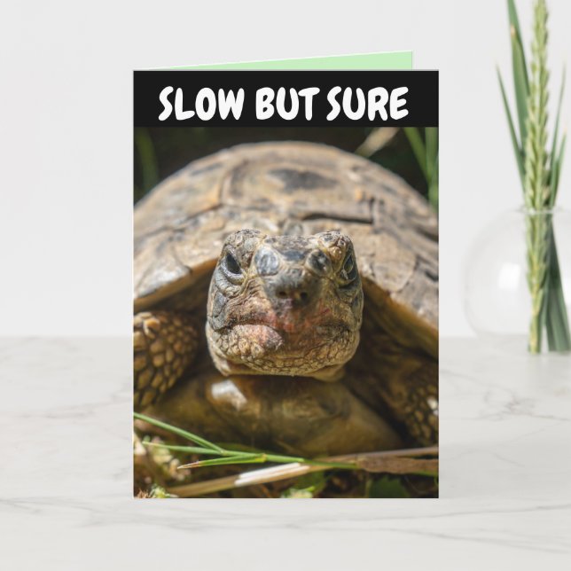 Kortet BELASTAD BIRTHDAY FUNNY TURTLE Greeting Car Kort (Framsida)