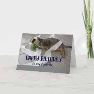Kortet Cat Birthday Greeting Tjock Kort