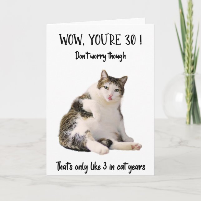 Kortet Cat Sitta Birthday Greeting Tjock Kort (Framsida)