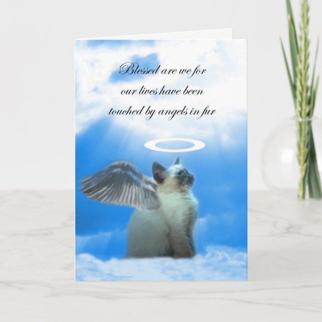 Kortet Cat Sympathy Card, Angel Kattunge, förlust  Kort (Framsida)