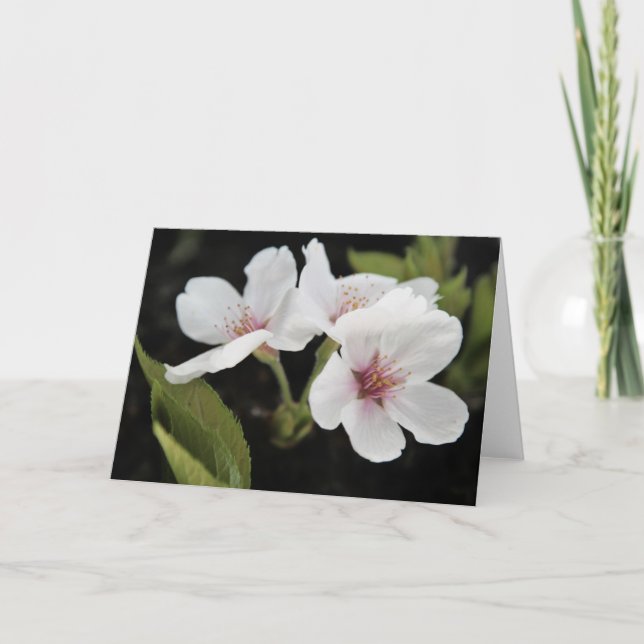 Kortet Cherry Blommars Greeting Card Kort (Framsida)