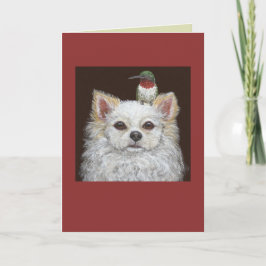 Kortet Chihuahua, långfristigt Kort