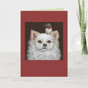 Kortet Chihuahua, långfristigt Kort